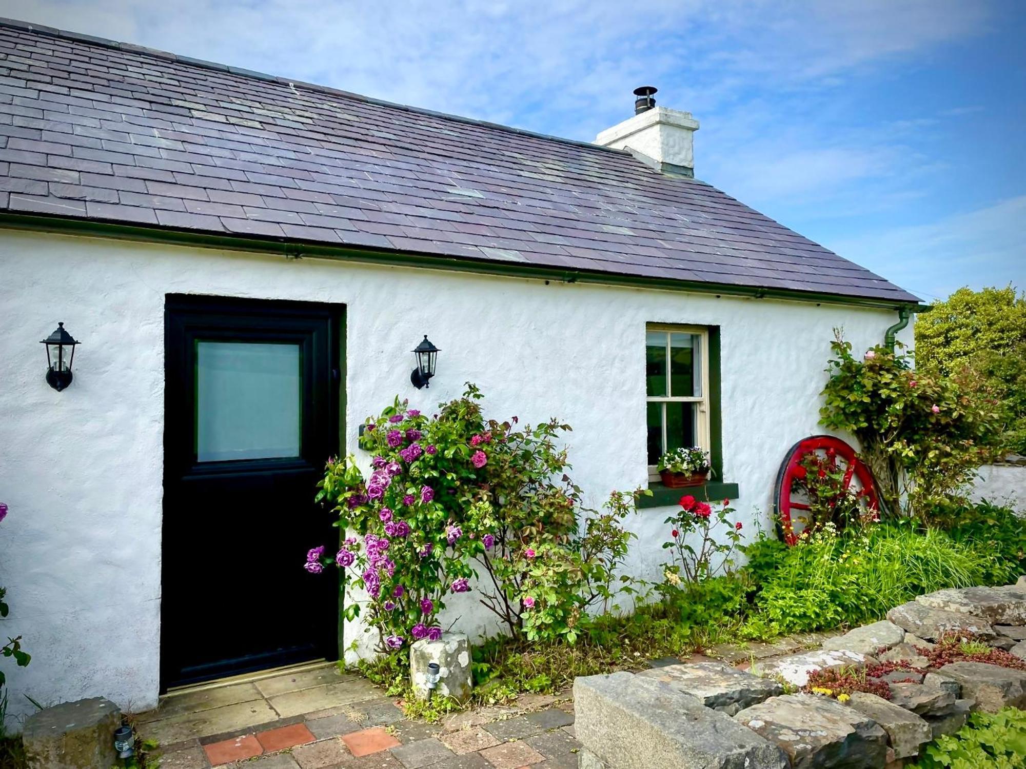 Dunnaglea Cottage, Ballintoy Dış mekan fotoğraf